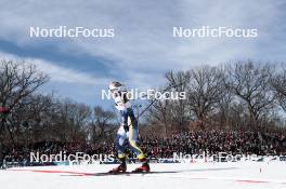 17.02.2024, Minneapolis, United States of America (USA): Jonna Sundling (SWE) - FIS world cup cross-country, individual sprint, Minneapolis (USA). www.nordicfocus.com. © Modica/NordicFocus. Every downloaded picture is fee-liable.
