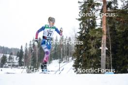 02.03.2024, Lahti, Finland (FIN): Sophia Laukli (USA) - FIS world cup cross-country, 20km, Lahti (FIN). www.nordicfocus.com. © Modica/NordicFocus. Every downloaded picture is fee-liable.