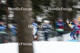 03.03.2024, Lahti, Finland (FIN): Lena Quintin (FRA) - FIS world cup cross-country, individual sprint, Lahti (FIN). www.nordicfocus.com. © Modica/NordicFocus. Every downloaded picture is fee-liable.