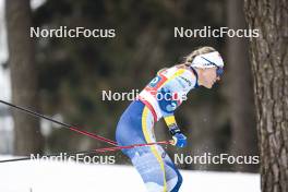 03.03.2024, Lahti, Finland (FIN): Linn Svahn (SWE) - FIS world cup cross-country, individual sprint, Lahti (FIN). www.nordicfocus.com. © Modica/NordicFocus. Every downloaded picture is fee-liable.