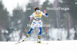 03.03.2024, Lahti, Finland (FIN): Moa Lundgren (SWE) - FIS world cup cross-country, individual sprint, Lahti (FIN). www.nordicfocus.com. © Modica/NordicFocus. Every downloaded picture is fee-liable.