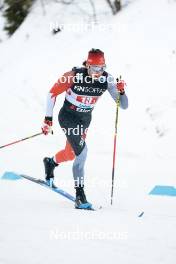 01.03.2024, Lahti, Finland (FIN): Antoine Cyr (CAN) - FIS world cup cross-country, team sprint, Lahti (FIN). www.nordicfocus.com. © Modica/NordicFocus. Every downloaded picture is fee-liable.