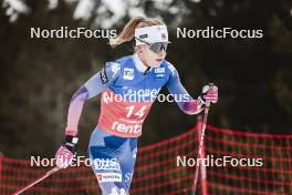 09.03.2024, Oslo, Norway (NOR): Sophia Laukli (USA) - FIS world cup cross-country, mass women, Oslo (NOR). www.nordicfocus.com. © Modica/NordicFocus. Every downloaded picture is fee-liable.