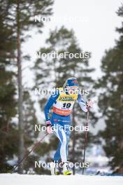 15.03.2024, Falun, Sweden (SWE): Anne Kyllonen (FIN) - FIS world cup cross-country, individual sprint, Falun (SWE). www.nordicfocus.com. © Modica/NordicFocus. Every downloaded picture is fee-liable.
