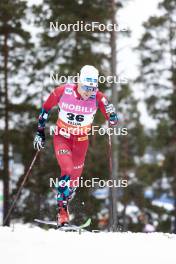 15.03.2024, Falun, Sweden (SWE): Sivert Wiig (NOR) - FIS world cup cross-country, individual sprint, Falun (SWE). www.nordicfocus.com. © Modica/NordicFocus. Every downloaded picture is fee-liable.