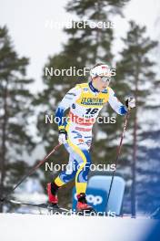 15.03.2024, Falun, Sweden (SWE): Johanna Hagstroem (SWE) - FIS world cup cross-country, individual sprint, Falun (SWE). www.nordicfocus.com. © Modica/NordicFocus. Every downloaded picture is fee-liable.