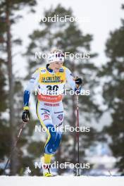 15.03.2024, Falun, Sweden (SWE): Frida Karlsson (SWE) - FIS world cup cross-country, individual sprint, Falun (SWE). www.nordicfocus.com. © Modica/NordicFocus. Every downloaded picture is fee-liable.