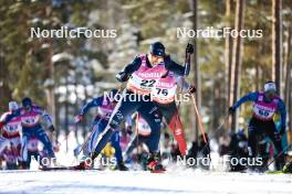 17.03.2024, Falun, Sweden (SWE): Elia Barp (ITA) - FIS world cup cross-country, mass, Falun (SWE). www.nordicfocus.com. © Modica/NordicFocus. Every downloaded picture is fee-liable.