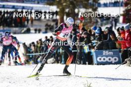 17.03.2024, Falun, Sweden (SWE): Florian Notz (GER) - FIS world cup cross-country, mass, Falun (SWE). www.nordicfocus.com. © Modica/NordicFocus. Every downloaded picture is fee-liable.