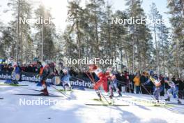 17.03.2024, Falun, Sweden (SWE): Ebba Andersson (SWE), Victoria Carl (GER), Kerttu Niskanen (FIN), Astrid Oeyre Slind (NOR), Sophia Laukli (USA), Flora Dolci (FRA), Krista Parmakoski (FIN), (l-r)  - FIS world cup cross-country, mass, Falun (SWE). www.nordicfocus.com. © Modica/NordicFocus. Every downloaded picture is fee-liable.