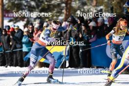 17.03.2024, Falun, Sweden (SWE): Sydney Palmer-Leger (USA) - FIS world cup cross-country, mass, Falun (SWE). www.nordicfocus.com. © Modica/NordicFocus. Every downloaded picture is fee-liable.