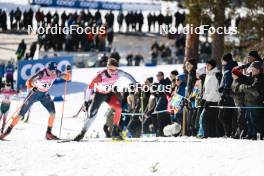 17.03.2024, Falun, Sweden (SWE): Sasha Masson (CAN) - FIS world cup cross-country, mass, Falun (SWE). www.nordicfocus.com. © Modica/NordicFocus. Every downloaded picture is fee-liable.