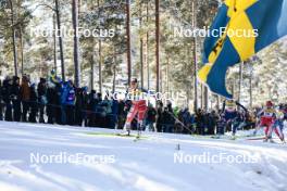 17.03.2024, Falun, Sweden (SWE): Katerina Janatova (CZE) - FIS world cup cross-country, mass, Falun (SWE). www.nordicfocus.com. © Modica/NordicFocus. Every downloaded picture is fee-liable.