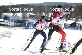 17.03.2024, Falun, Sweden (SWE): Lorenzo Romano (ITA) - FIS world cup cross-country, mass, Falun (SWE). www.nordicfocus.com. © Modica/NordicFocus. Every downloaded picture is fee-liable.