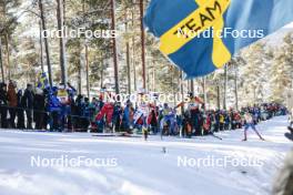 17.03.2024, Falun, Sweden (SWE): Delphine Claudel (FRA), Lotta Udnes Weng (NOR), Emma Ribom (SWE), Maja Dahlqvist (SWE), (l-r)  - FIS world cup cross-country, mass, Falun (SWE). www.nordicfocus.com. © Modica/NordicFocus. Every downloaded picture is fee-liable.