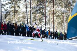 17.03.2024, Falun, Sweden (SWE): Lisa Eriksson (SWE) - FIS world cup cross-country, mass, Falun (SWE). www.nordicfocus.com. © Modica/NordicFocus. Every downloaded picture is fee-liable.