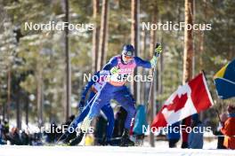 17.03.2024, Falun, Sweden (SWE): Vladislav Kovalyov (KAZ) - FIS world cup cross-country, mass, Falun (SWE). www.nordicfocus.com. © Modica/NordicFocus. Every downloaded picture is fee-liable.