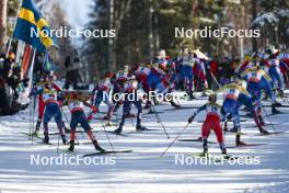 17.03.2024, Falun, Sweden (SWE): Sydney Palmer-Leger (USA), Silje Theodorsen (NOR), Patricija Eiduka (LAT), Novie Mccabe (USA), Delphine Claudel (FRA), Jonna Sundling (SWE), Emma Ribom (SWE), Katerina Janatova (CZE), (l-r)  - FIS world cup cross-country, mass, Falun (SWE). www.nordicfocus.com. © Modica/NordicFocus. Every downloaded picture is fee-liable.