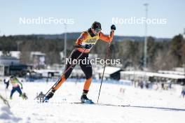 17.03.2024, Falun, Sweden (SWE): Maja Dahlqvist (SWE) - FIS world cup cross-country, mass, Falun (SWE). www.nordicfocus.com. © Modica/NordicFocus. Every downloaded picture is fee-liable.