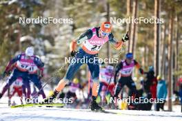 17.03.2024, Falun, Sweden (SWE): Thomas Maloney Westgaard (IRL) - FIS world cup cross-country, mass, Falun (SWE). www.nordicfocus.com. © Modica/NordicFocus. Every downloaded picture is fee-liable.