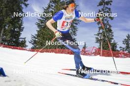 22.03.2024, Meribel, France (FRA): GREGORY Nougaret (FRA) - French Championships cross-country, sprint, Meribel (FRA). www.nordicfocus.com. © Thibaut/NordicFocus. Every downloaded picture is fee-liable.