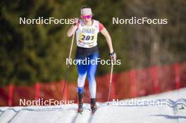 22.03.2024, Meribel, France (FRA): Luce Maillot (FRA) - French Championships cross-country, sprint, Meribel (FRA). www.nordicfocus.com. © Thibaut/NordicFocus. Every downloaded picture is fee-liable.