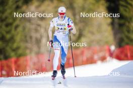 22.03.2024, Meribel, France (FRA): Levi Maury (FRA) - French Championships cross-country, sprint, Meribel (FRA). www.nordicfocus.com. © Thibaut/NordicFocus. Every downloaded picture is fee-liable.