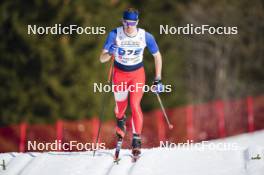 22.03.2024, Meribel, France (FRA): Hugo Serot (FRA) - French Championships cross-country, sprint, Meribel (FRA). www.nordicfocus.com. © Thibaut/NordicFocus. Every downloaded picture is fee-liable.