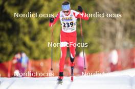 22.03.2024, Meribel, France (FRA): Quentin Mathieu (FRA) - French Championships cross-country, sprint, Meribel (FRA). www.nordicfocus.com. © Thibaut/NordicFocus. Every downloaded picture is fee-liable.