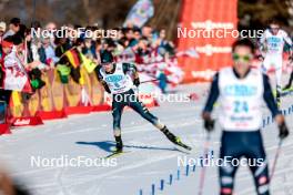 03.02.2024, Seefeld, Austria (AUT): Ryota Yamamoto (JPN) - FIS world cup nordic combined men, individual gundersen HS109/10km, Seefeld (AUT). www.nordicfocus.com. © Modica/NordicFocus. Every downloaded picture is fee-liable.