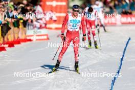 03.02.2024, Seefeld, Austria (AUT): Niklas Malacinski (USA) - FIS world cup nordic combined men, individual gundersen HS109/10km, Seefeld (AUT). www.nordicfocus.com. © Modica/NordicFocus. Every downloaded picture is fee-liable.