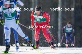 03.03.2024, Lahti, Finland (FIN): Benjamin Loomis (USA) - FIS world cup nordic combined men, individual gundersen HS130/10km, Lahti (FIN). www.nordicfocus.com. © Thibaut/NordicFocus. Every downloaded picture is fee-liable.