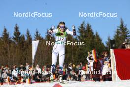 28.01.2024, Schonach, Germany (GER): Marte Leinan Lund (NOR) - FIS world cup nordic combined women, individual gundersen HS100/8km, Schonach (GER). www.nordicfocus.com. © Volk/NordicFocus. Every downloaded picture is fee-liable.