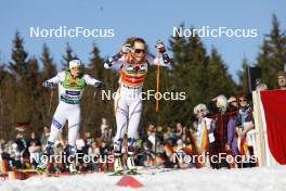 28.01.2024, Schonach, Germany (GER): Gyda Westvold Hansen (NOR), Ida Marie Hagen (NOR), (l-r)  - FIS world cup nordic combined women, individual gundersen HS100/8km, Schonach (GER). www.nordicfocus.com. © Volk/NordicFocus. Every downloaded picture is fee-liable.