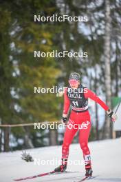 10.02.2024, Otepaeae, Estonia (EST): Annika Malacinski (USA) - FIS world cup nordic combined women, individual gundersen HS97/5km, Otepaeae (EST). www.nordicfocus.com. © Authamayou/NordicFocus. Every downloaded picture is fee-liable.