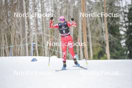 11.02.2024, Otepaeae, Estonia (EST): Annalena  Slamik (AUT) - FIS world cup nordic combined women, individual gundersen HS97/5km, Otepaeae (EST). www.nordicfocus.com. © Authamayou/NordicFocus. Every downloaded picture is fee-liable.