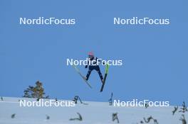 17.03.2024, Vikersund, Norway (NOR): Pius Paschke (GER) - FIS world cup ski flying men, individual HS240, Vikersund (NOR). www.nordicfocus.com. © Authamayou/NordicFocus. Every downloaded picture is fee-liable.