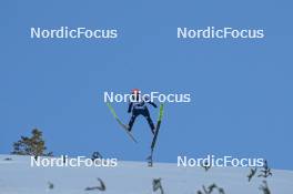 17.03.2024, Vikersund, Norway (NOR): Pius Paschke (GER) - FIS world cup ski flying men, individual HS240, Vikersund (NOR). www.nordicfocus.com. © Authamayou/NordicFocus. Every downloaded picture is fee-liable.