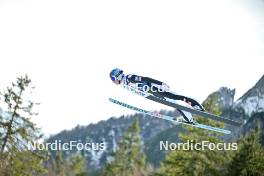 22.03.2024, Planica, Slovenia (SLO): Daniel Tschofenig (AUT) - FIS world cup ski flying men, individual HS240, Planica (SLO). www.nordicfocus.com. © Reichert/NordicFocus. Every downloaded picture is fee-liable.