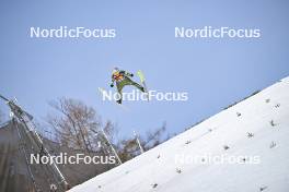 23.03.2024, Planica, Slovenia (SLO): Aleksander Zniszczol (POL) - FIS world cup ski flying men, team HS240, Planica (SLO). www.nordicfocus.com. © Reichert/NordicFocus. Every downloaded picture is fee-liable.