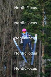 28.01.2024, Ljubno, Slovenia (SLO): Anna Twardosz (POL) - FIS world cup ski jumping women, individual HS94, Ljubno (SLO). www.nordicfocus.com. © Barbieri/NordicFocus. Every downloaded picture is fee-liable.