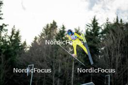 26.01.2024, Ljubno, Slovenia (SLO): Annika Belshaw (USA) - FIS world cup ski jumping women, training, Ljubno (SLO). www.nordicfocus.com. © Barbieri/NordicFocus. Every downloaded picture is fee-liable.
