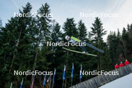 26.01.2024, Ljubno, Slovenia (SLO): Annika Sieff (ITA) - FIS world cup ski jumping women, training, Ljubno (SLO). www.nordicfocus.com. © Barbieri/NordicFocus. Every downloaded picture is fee-liable.