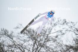 04.02.2024, Willingen, Germany (GER): Daniela Haralambie (ROU) - FIS world cup ski jumping women, individual HS147, Willingen (GER). www.nordicfocus.com. © Reichert/NordicFocus. Every downloaded picture is fee-liable
