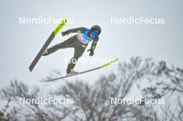 04.02.2024, Willingen, Germany (GER): Annika Belshaw (USA) - FIS world cup ski jumping women, individual HS147, Willingen (GER). www.nordicfocus.com. © Reichert/NordicFocus. Every downloaded picture is fee-liable
