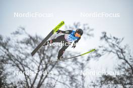 04.02.2024, Willingen, Germany (GER): Thea Minyan Bjoerseth (NOR) - FIS world cup ski jumping women, individual HS147, Willingen (GER). www.nordicfocus.com. © Reichert/NordicFocus. Every downloaded picture is fee-liable