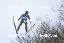 24.02.2024, Hinzenbach, Austria (AUT): Annika Belshaw (USA) - FIS world cup ski jumping women, individual HS90, Hinzenbach (AUT). www.nordicfocus.com. © Volk/NordicFocus. Every downloaded picture is fee-liable