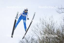 24.02.2024, Hinzenbach, Austria (AUT): Taja Bodlaj (SLO) - FIS world cup ski jumping women, individual HS90, Hinzenbach (AUT). www.nordicfocus.com. © Volk/NordicFocus. Every downloaded picture is fee-liable