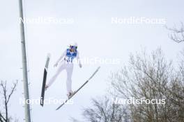 24.02.2024, Hinzenbach, Austria (AUT): Daniela Haralambie (ROU) - FIS world cup ski jumping women, individual HS90, Hinzenbach (AUT). www.nordicfocus.com. © Volk/NordicFocus. Every downloaded picture is fee-liable