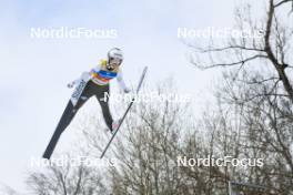 24.02.2024, Hinzenbach, Austria (AUT): Nika Prevc (SLO) - FIS world cup ski jumping women, individual HS90, Hinzenbach (AUT). www.nordicfocus.com. © Volk/NordicFocus. Every downloaded picture is fee-liable